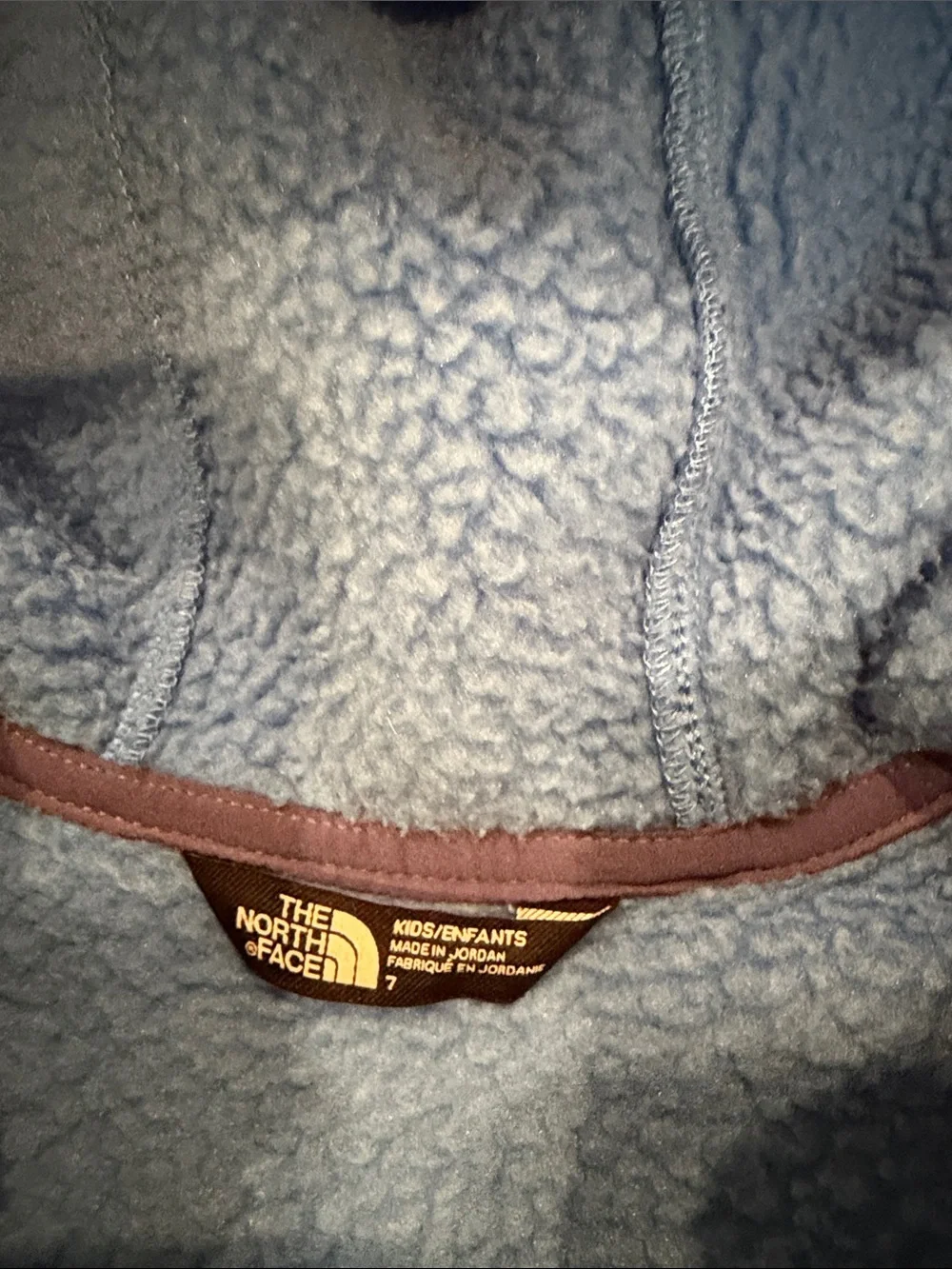 The North Face Kids Two-Tone Blue Hooded Fleece Jacket